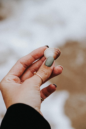 Beach, Hand, Miscellanea, Miscellaneous, Ring, Shell HD phone wallpaper
