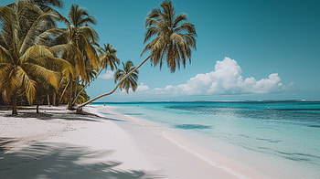Tropical Island Paradise, tropical island, beach, palm tree, tropical, ocean HD wallpaper