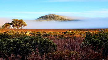 A frosty morning at Mt Lord, Mt Field National Park, Tasmania, sky, fog, hills, landscape, trees, rocks HD wallpaper