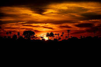 Sunset, Sun, Palms, Dark, Silhouette HD wallpaper