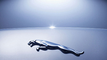 Trunk Lid, Jaguar Logo HD wallpaper