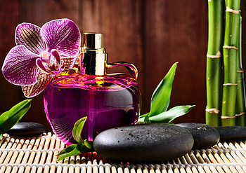 Orchid, abstract, graphy, flower, perfume, rocks, bottle HD wallpaper