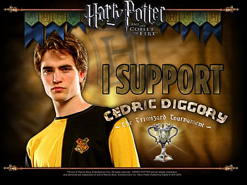Cedric Diggory And The Triwizard Cup, eyhw45, hrt, ergher, ggtr, r, hed HD wallpaper