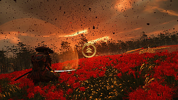 Ghost of Tsushima : Samurai Sunset Serenity, Ghost of Tsushima HD wallpaper