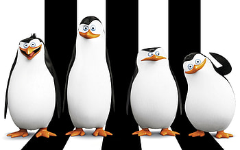 Penguins Of Madagascar Movie , madagascar, movie, cartoons, penguins HD wallpaper