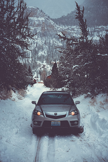 Auto, Winter, Trees, Snow, Cars, Front View HD phone wallpaper