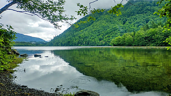 Deer Lake, Sasquatch Provincial Park, British Columbia, hills, reflection, trees, clouds, sky, canada, water, forest HD wallpaper
