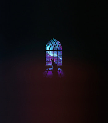 Window, moon and cat, minimal HD phone wallpaper