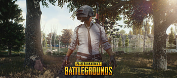 PUBG, forest theme, mobile game, helmet guy HD wallpaper