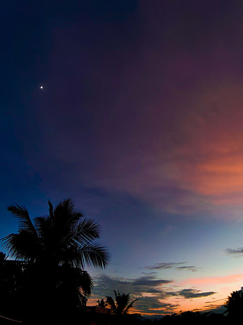 Night, Nature, Sunset, Clouds, Palm, Tropics HD phone wallpaper