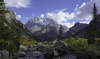 Grand Teton National Park, fun, cool, nature, forest, mountain HD wallpaper