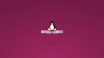 Linux Penguin, linux, penguin, computer, ubuntu HD wallpaper