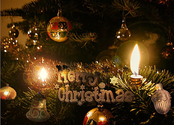 Trees And Ornaments, trees, holidays, xmas, christmas HD wallpaper