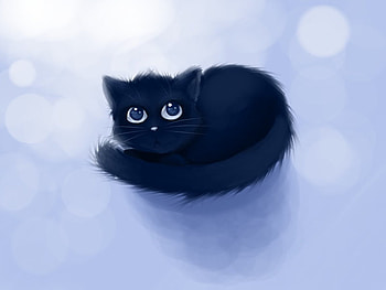 hold me, sweet, kitten, black cat, kitty, cute HD wallpaper