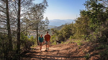 Hiking posted, Michelle Simpson, Outdoor activity, Nature exploration HD wallpaper
