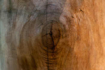 Wood, Tree, Texture, Textures, Surface, Crack HD wallpaper