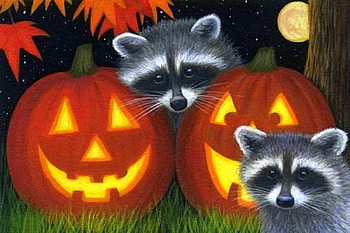 Halloween Raccoons, fall, paintings, pumpkins, love four seasons, halloween, raccoons, animals, autumn, draw and paint, moons HD wallpaper