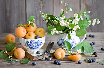 Fruits, Food, Bilberries, Berries, Jasmine, Apricots HD wallpaper