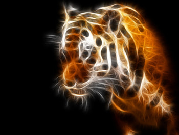 Tiger, 3d HD wallpaper