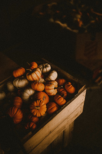 Food, Pumpkin, Box, Ripe, Harvest HD phone wallpaper