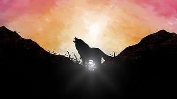 Fox Howling Sunrise , fox, artist, artwork, digital-art, minimalism, minimalist, deviantart HD wallpaper
