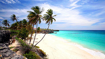 Barbados , Stunning visuals, backgrounds, High-resolution ry HD wallpaper