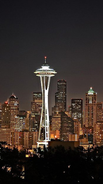 Seattle Skyline, Nighttime charm, Urban beauty, Captivating view HD phone wallpaper