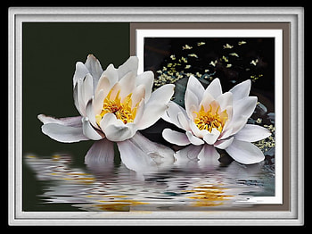 Spring a leak, flowers, frame HD wallpaper
