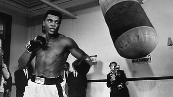 screensaver for muhammad ali (Clive Walter ) HD wallpaper