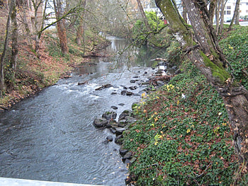 Shelton Ditch, Oregon Wikipedia, Travels HD wallpaper