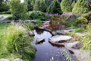 Nature, Stones, Bush, Vegetation, Shadow, Garden, Pond HD wallpaper