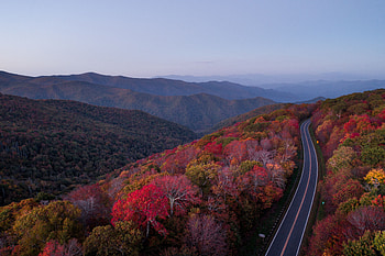 Road, Nature, Trees, Autumn HD wallpaper