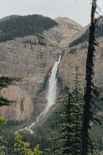 Nature, Trees, Rocks, Mountain, Waterfall, Flow, Stream HD phone wallpaper