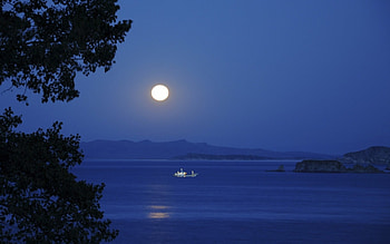 moon over boat in straits, straits, boat, moon, lights, trees HD wallpaper