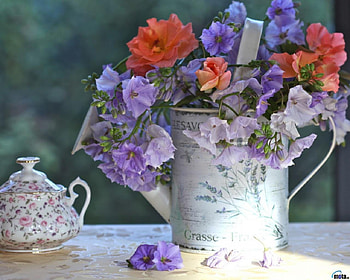 Flowers in a watering can, can, roses, love, flower HD wallpaper