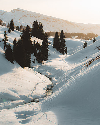 Winter, Nature, Trees, Mountains, Snow, Creek, Brook HD phone wallpaper