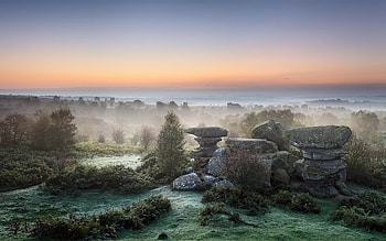 Landscape, Trees, Stones HD wallpaper