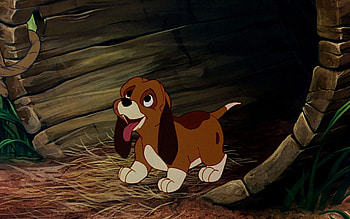 The Fox, The Hound HD wallpaper