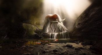 Garden Of Oblivion, fantasy, artist, deviantart HD wallpaper