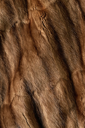 Fur texture, Textured background, Unique patterns, Soft and cozy HD phone wallpaper