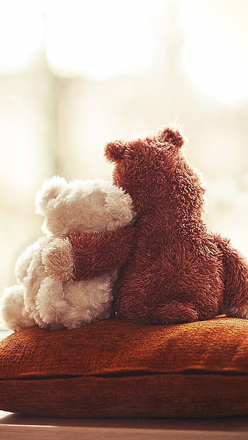 Teddy Wale, Love, Couple HD phone wallpaper