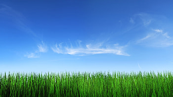 Sky and grass, Nature's artwork, Inspiring backdrop, Endless beauty HD wallpaper