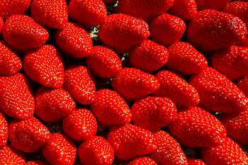 Food, Strawberry, Macro, Berry, Fruit HD wallpaper
