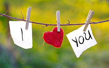 Love, Confession, Clothespins, Rope HD wallpaper