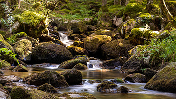 Nature, Stones, Waterfall, Flow, Moss, Lumps, Blocks HD wallpaper
