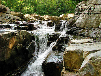 Nature, Rivers, Stones, Mountain, Forest, Flow, Stream, Ukraine, Carpathians HD wallpaper