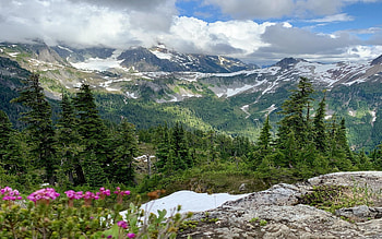 Artist’s Point, Mount Baker Wilderness, WA, washington, landscape, clouds, trees, sky, flowers, usa HD wallpaper