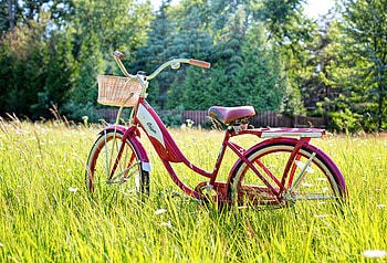 Summer, Miscellanea, Miscellaneous, Vintage, Sunlight, Bicycle HD wallpaper