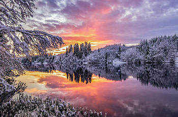 river reflection, winter, trees, river, reflection HD wallpaper