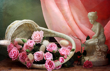 Beauty of roses, colors, , new, beauty HD wallpaper